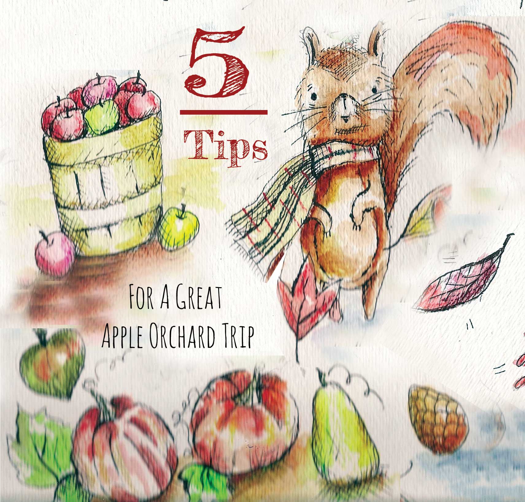 Plan Your Perfect Orchard Trip With These Tips