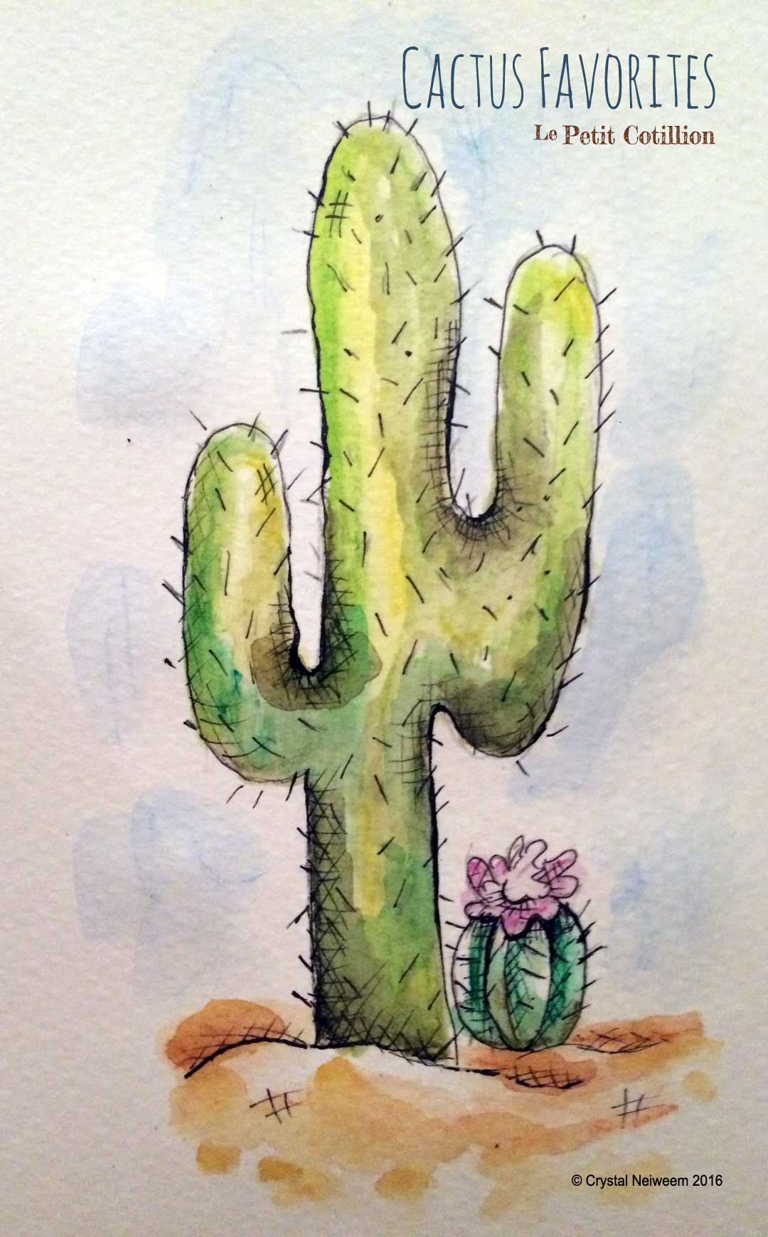 Travel Inspiration | Kids' Cactus Favorites